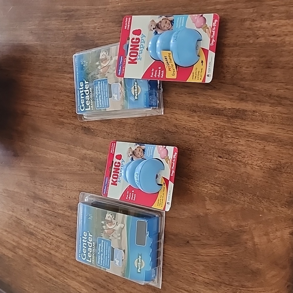 Puppy Kong and Small Gentle Leader